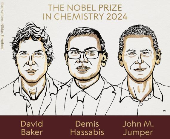 Pioneers of Protein Design: Celebrating the 2024 Nobel Laureates in Chemistry